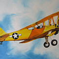 Yellow Airplane - Detail