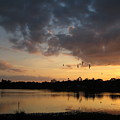 Sunset Sky