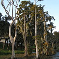 Lake Thonotosassa