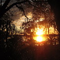 Sunset over a lake