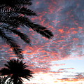 Sunset Sky